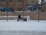 Blizzard-05.jpg