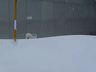 Blizzard-07.jpg