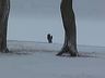 Blizzard-09.jpg