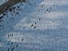cold_toes-02.jpg