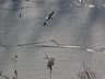 cold_toes-04.jpg