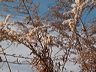 cold_toes-05.jpg