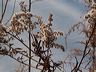 cold_toes-06.jpg