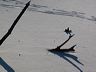 cold_toes-08.jpg