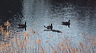 ColdHeat-03.jpg
