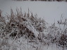 Snow-04.jpg