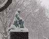 IMG_8423.jpg