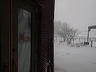IMG_8424.jpg
