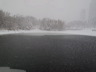 IMG_8436.jpg