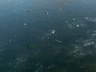 Ice-04.jpg
