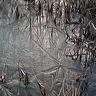 Ice-05.jpg