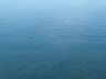 Ice-06.jpg