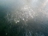 Ice-08.jpg