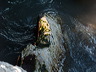 Lake-05.jpg
