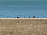 Lake-07.jpg